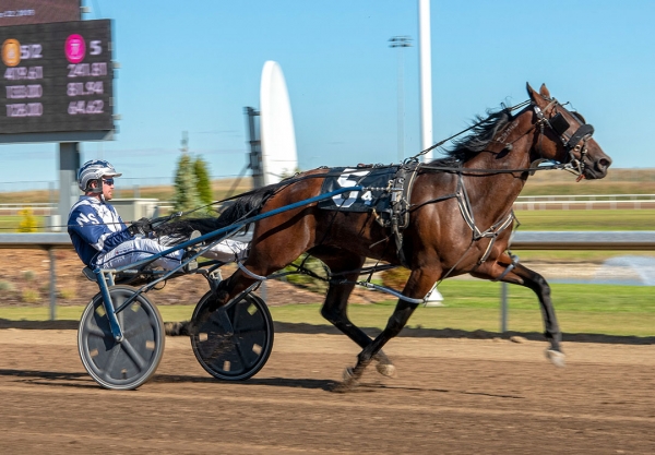 Trip Hammer, at 17-1 odds, won the third of three divisions of the Century Mile Stake for two-year-old colts and geldings on Sunday