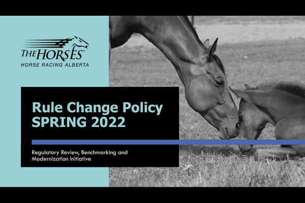 2022 Rule Change Process Slidedeck (slide gallery)