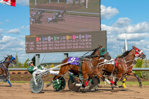 Elimination races will be hotly contested for upcoming Pacing Derby and Filly Pace