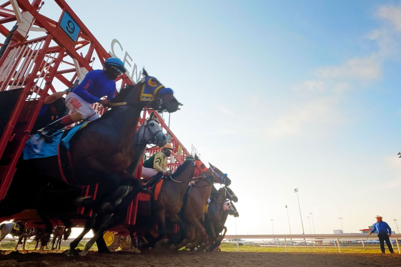 2025 Alberta Breeders&#039; Fall Classic and Canada QH Cup Futurity Promo (video)