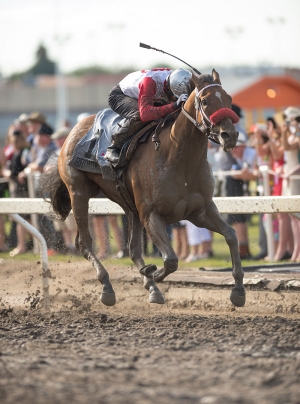 Broadway Empire in the finish stretch of the 2013 Canadian Derby at Northlands Park